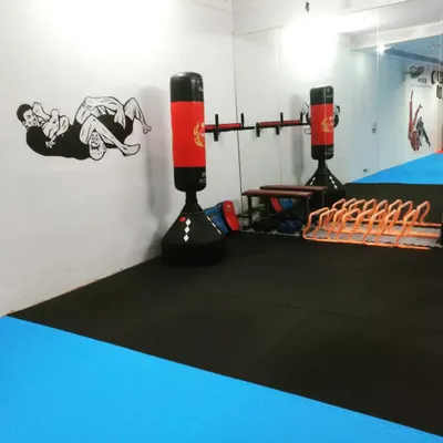 A view of our training space, featuring a matted floor and freestanding heavy bags. The wall art reflects our focus on both striking and grappling arts.