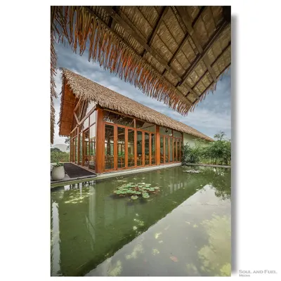 The exterior of a restaurant at Maayaa Resorts, featuring a thatched roof and glass walls, reflected in a tranquil lily pond. This image captures the resort's philosophy of blending modern architecture with natural elements.