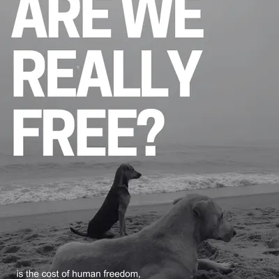 Are we really free if the cost of human freedom is animal cruelty? This powerful image with two streeties on a beach is a reminder of our fight for all beings.