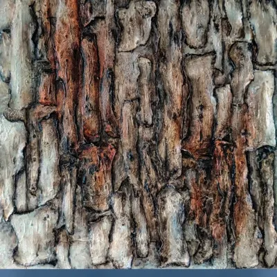 'TEXTURA' is a large-scale piece inspired by the ruggedness of a tree trunk. I built up layers of mixed media on wood to capture the deep ridges and grooves, creating a powerful statement on resilience and natural beauty.