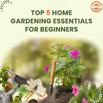 Here is a quick look at the top five essential tools I recommend for anyone starting a home garden. Having the right equipment from the beginning makes the entire process much more enjoyable and successful.