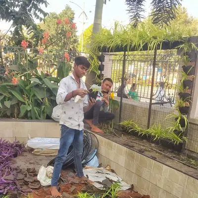 My team installing a vertical garden for the Shirdi municipality. This shows the hands-on work of placing individual plants into the wall panels.