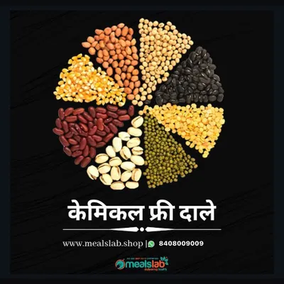 We are proud of our chemical-free dals. This wheel showcases the variety we use, from moong and masoor to rajma. These lentils are farmed without harmful pesticides, ensuring you get pure, natural protein and fiber.