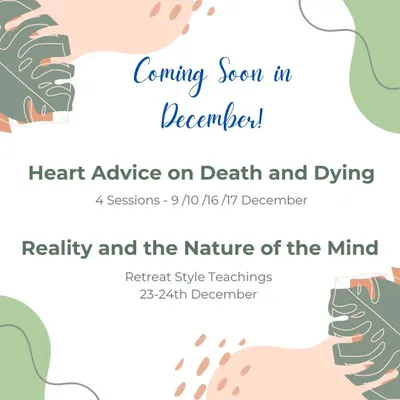 A "Coming Soon" announcement for our December programs. We give our community a glimpse of upcoming teachings, like "Heart Advice on Death and Dying" and a retreat on "Reality and the Nature of the Mind."