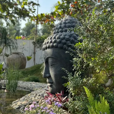 A closer look at our 'Lama Buddha' head statue in a client's garden. The natural stone texture and serene expression are designed to inspire a feeling of calm and contemplation.