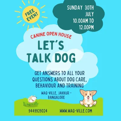 We believe in empowering pet parents with knowledge. Our "Let's Talk Dog" Canine Open House is a free monthly event where you can get answers to all your questions about dog care, behavior, and training from our experts.