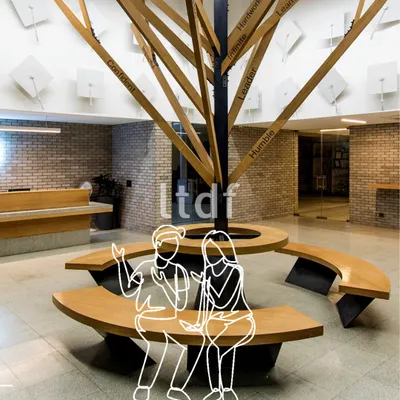 At the Jaipuria Institute of Management, we designed this 'value tree' installation to be the heart of the space. The sculptural form and integrated seating create a central hub for students to connect, collaborate, and reflect.