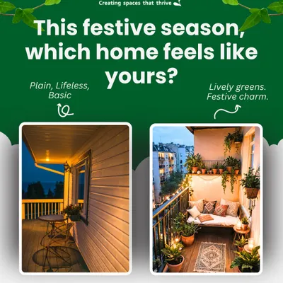 Which home feels like yours? We can transform a plain, basic balcony into a lively green escape with festive charm, using a mix of potted plants, hanging baskets, and comfortable seating.
