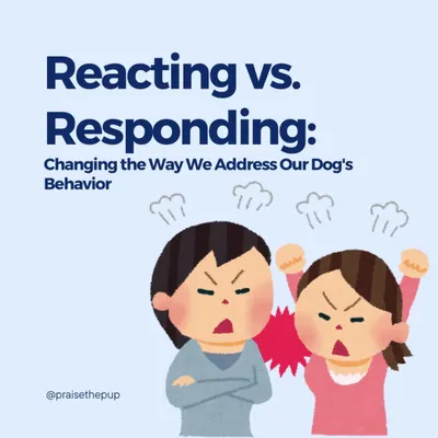 This is the cover for my series on Reacting vs. Responding. It's all about changing the way we address our dog's behavior from a place of frustration to a place of thoughtful planning.