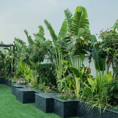 A close-up of our layered planting approach. We use custom-built, multi-level planters in materials like black granite to create a modern and sophisticated home for a variety of tropical plants, including Traveller's Palms.