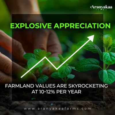 Farmland values are experiencing explosive appreciation, consistently growing at 10-12% per year. This tangible asset offers a secure path to wealth multiplication, outpacing many conventional investment vehicles.