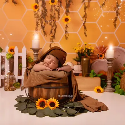 A perfectly posed newborn sleeps with hands tucked under their chin, resting in a wooden bucket. The scene is decorated with a honeycomb wall, a white picket fence, and bright yellow sunflowers.