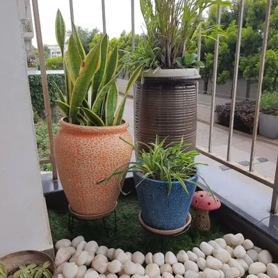 A simple arrangement of potted plants can make a big difference. Here, we grouped different ceramic planters with snake plants and spider plants on a bed of artificial grass and pebbles for a clean, green look.