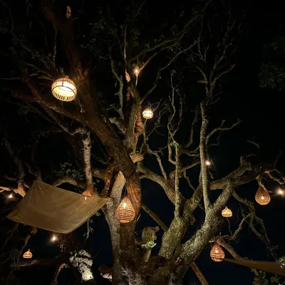A beautiful, serene shot from Goa. Lately, everything has felt serendipitous, filled with good energy and mysticism. This mood of contemplation and magic is what I bring to my sets.