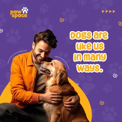 The bond between a human and a dog is truly special. We believe dogs are like us in many ways, capable of deep connection and emotion. Our training helps nurture this relationship.