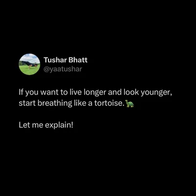 The ancient yogis knew that your life is measured in breaths, not years. Breathing slowly like a tortoise preserves your Prana (life force), reduces stress, and is a secret to longevity.