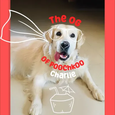 Meet Charlie, the original gangster and heart of Poochkoo. As our beloved mascot and brand ambassador, he reminds us every day why we do what we do: for the love of all pets.