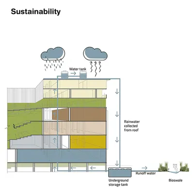 This diagram illustrates the 'living sponge' concept, a key part of my water management strategy. It details how rainwater is collected, stored, and channeled into bioswales to cleanse runoff and recharge groundwater.