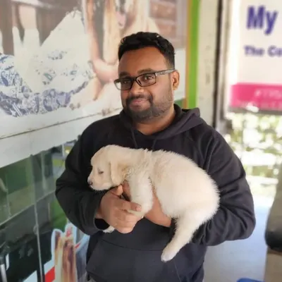 A pawsome moment with one of our team members and a very cute and cuddly puppy. We are all pet lovers here at Pets Villa.