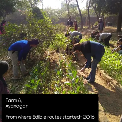 Throwback to 2016 at Farm 8 in Ayanagar, where it all began. This is where the seeds of Edible Routes were planted, and our mission to promote organic farming took root.