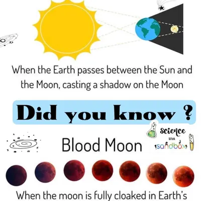Did you know that during a total lunar eclipse, the moon can turn red? We explain the science behind phenomena like the "Blood Moon" in our fun fact series.