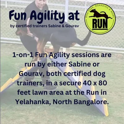 I conduct 1-on-1 Fun Agility sessions with my partner Sabine. This ensures your dog gets personalized attention in a secure 40x80 feet lawn area at The Run in Yelahanka.