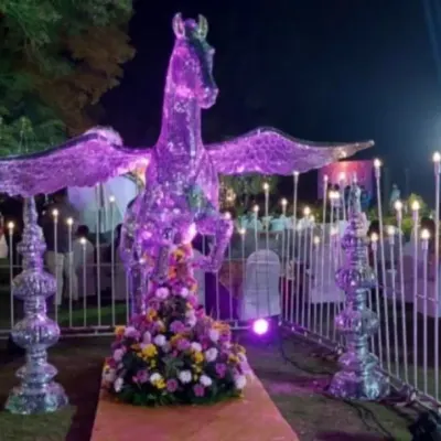 A unique collaboration featuring a stunning winged horse ice sculpture. This piece served as a magnificent entrance feature for a large-scale event, showcasing how we can integrate special elements into our decor plans.
