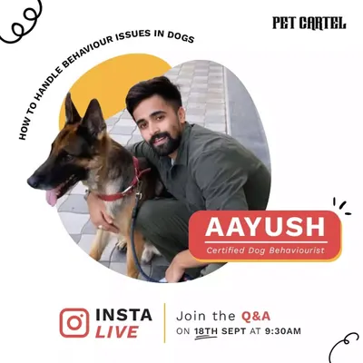 To provide the best care, I partner with certified professionals for events like this live Q&A on dog behavior. This helps me and my team stay informed on handling common issues like leash pulling or anxiety, ensuring your dog is in capable hands.