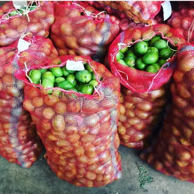 The journey of our pickles and jams starts here, with bags of fresh, locally sourced produce. We believe the best taste comes from the best ingredients.