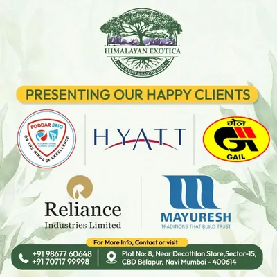 I am proud to have earned the trust of leading companies like Hyatt, Reliance, and GAIL. My team is equipped to handle large-scale corporate projects, delivering high-quality green installations for any commercial space.