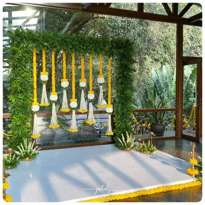 For this indoor engagement, I created a stunning backdrop with a lush frame of ferns. Hanging floral streamers of marigolds and tuberoses add a traditional touch to the modern, natural setting.