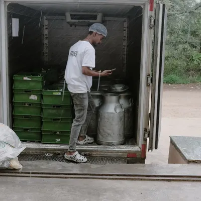 Our day starts early with the delivery of fresh cow's milk, the single most important ingredient for our artisanal cheese. We source it locally to ensure it's as fresh as possible before it enters our kitchen.