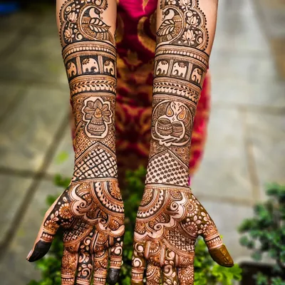 A stunning example of full bridal henna, featuring a dark, fresh application with intricate details like elephants, peacocks, and traditional kalash motifs.