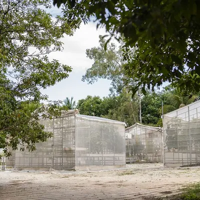 An exterior view of our hydroponic farm pods at Farmlore. These structures house our advanced soil-less growing systems, forming the foundation of our urban farming initiative.