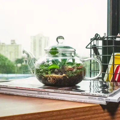 My teapot terrarium sitting on a stack of magazines, perfectly at home in a cozy reading nook. It's a functional art piece that brings a touch of nature to your daily life.