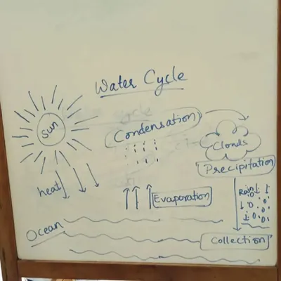 It all starts with a simple drawing. I use a whiteboard to explain the water cycle, from evaporation to precipitation, before we start our hands-on experiment to see it happen in real life.