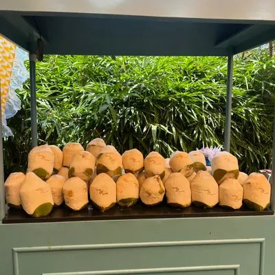 A cart full of fresh coconuts, custom-shaved and ready to be served as a refreshing welcome drink for guests arriving at a daytime wedding event.