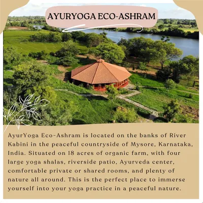 An aerial view of our home, where the tranquil Kabini river flows beside our yoga shalas and eco-cottages. This is the perfect place to immerse yourself in peaceful nature.