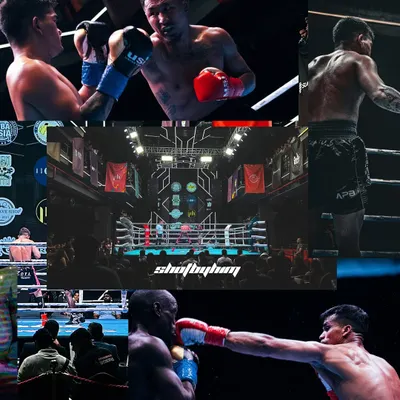 I bring you the full view of the arena. This collage shows the scale of the event, the intensity of the in-ring exchanges, and the power of a perfectly landed punch. It's the entire drama in one frame.