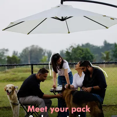 Our picnics are the perfect setting to meet your pack. Here, a group of parents share stories and laughs while their dogs relax nearby. This is what building a community is all about.