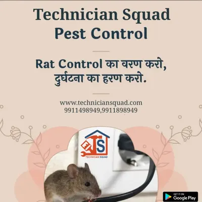 Rodents are not just a nuisance; they can cause significant damage and pose health risks by chewing on electrical wires. Our specialized rodent control service targets rats and mice in homes, offices, and factories, ensuring they are removed safely and effectively to prevent potential accidents.
