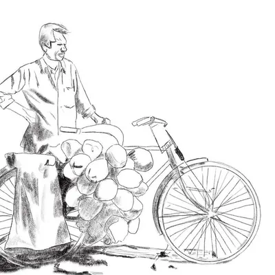 This is the initial pencil sketch for my 'Coconut Seller' painting. Every detailed color illustration begins with a simple line drawing to get the composition and proportions right.