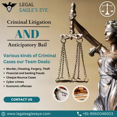 This graphic details the various kinds of criminal cases our team handles, from theft and forgery to financial frauds and cybercrimes. We provide expert criminal litigation and anticipatory bail services.