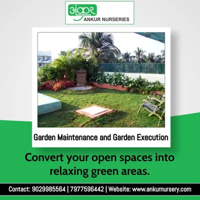 We specialize in complete garden execution and ongoing maintenance services. This image showcases a relaxing green area we designed and built for a client, turning their open space into a tranquil retreat.