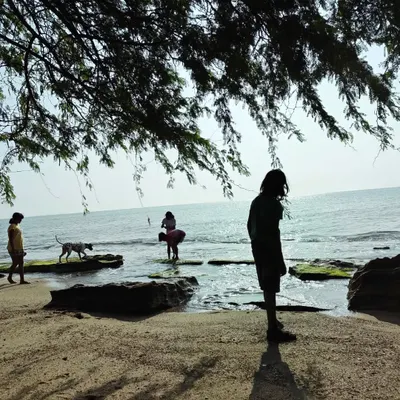 A quiet moment of reflection on the shores of the Gulf of Mannar. These experiences allow children to form a personal and lasting connection with the vastness of the ocean.