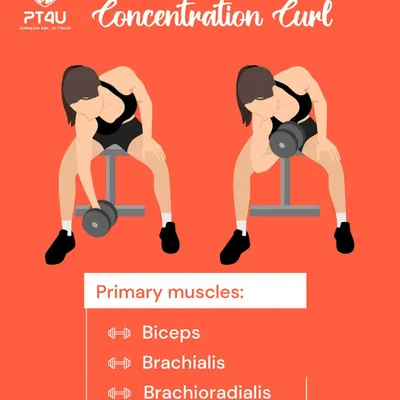 This guide provides a detailed breakdown of the dumbbell concentration curl. It explains proper form, common mistakes to avoid, and tips for targeting the bicep peak effectively for muscle growth.