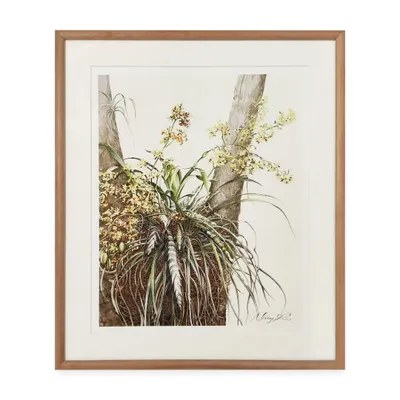 This botanical illustration is paired with a simple, solid wood frame. The natural grain of the wood complements the organic subject matter, creating a timeless and elegant presentation that feels connected to the art itself.