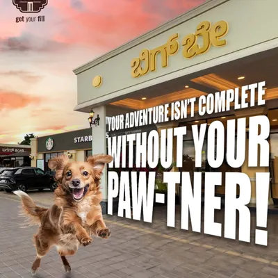 Your adventure isn't complete without your paw-tner. We are a pet-friendly destination, ensuring your furry friends have a great time on your road trip.