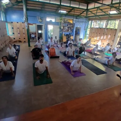 A glimpse into our group asana practice. Here, students are in Bhujangasana (Cobra Pose), focusing on opening the chest and engaging the back muscles. The collective energy of a group class enhances the learning experience.