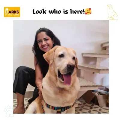 A warm welcome from me and a happy Labrador client. Building a bond with every pet is at the heart of what we do, ensuring they feel safe and loved.